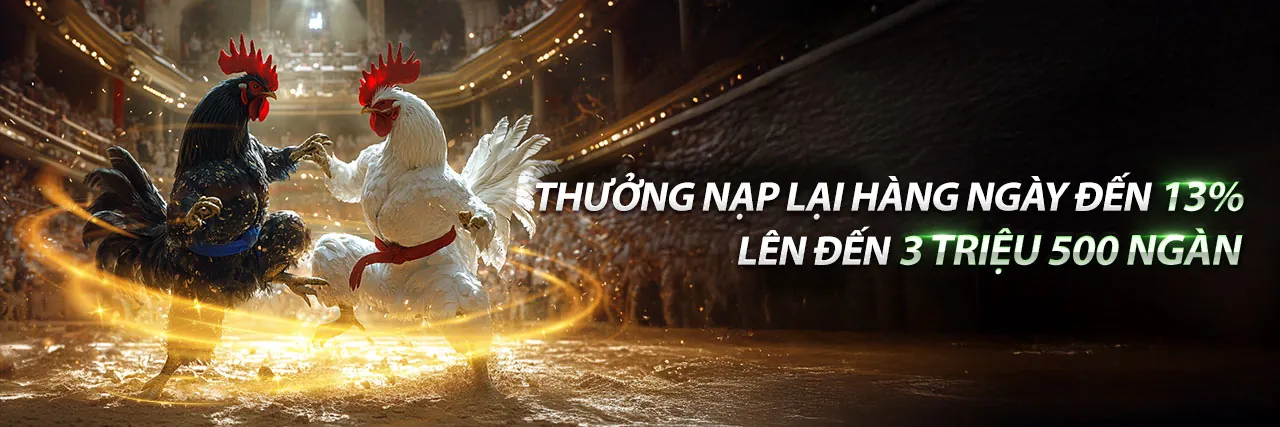 Đá gà trực tuyến bl5555